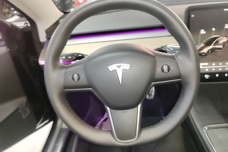 Tesla Model 3 2022 car image #11