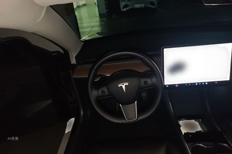 Tesla Model 3 2020 car image #12