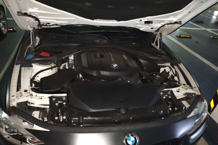 BMW 3 Series 2018 car image #22