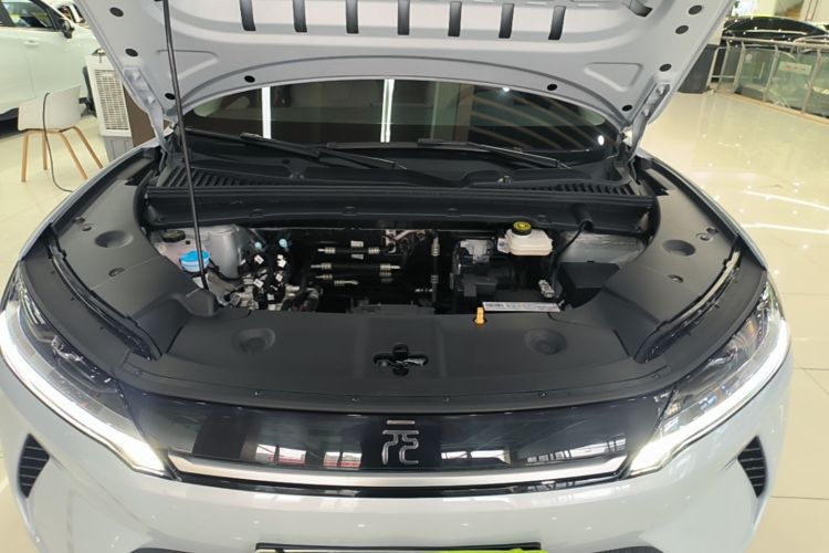 BYD YuanUP 2024 #20 BYD YuanUP 2024 car image #20