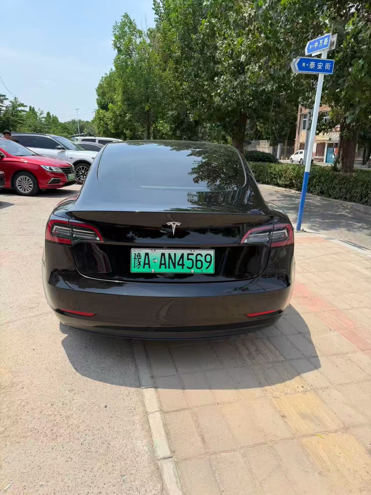 Tesla Model 3 2021 #6 Tesla Model 3 2021 car image #6