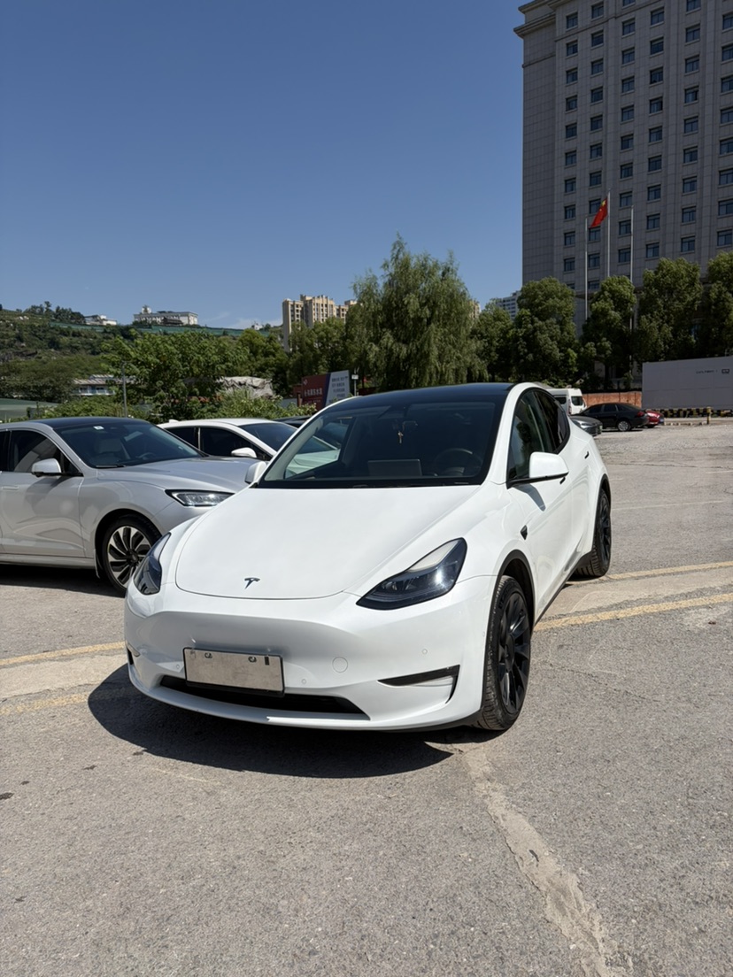 Tesla Model Y 2023 car image 