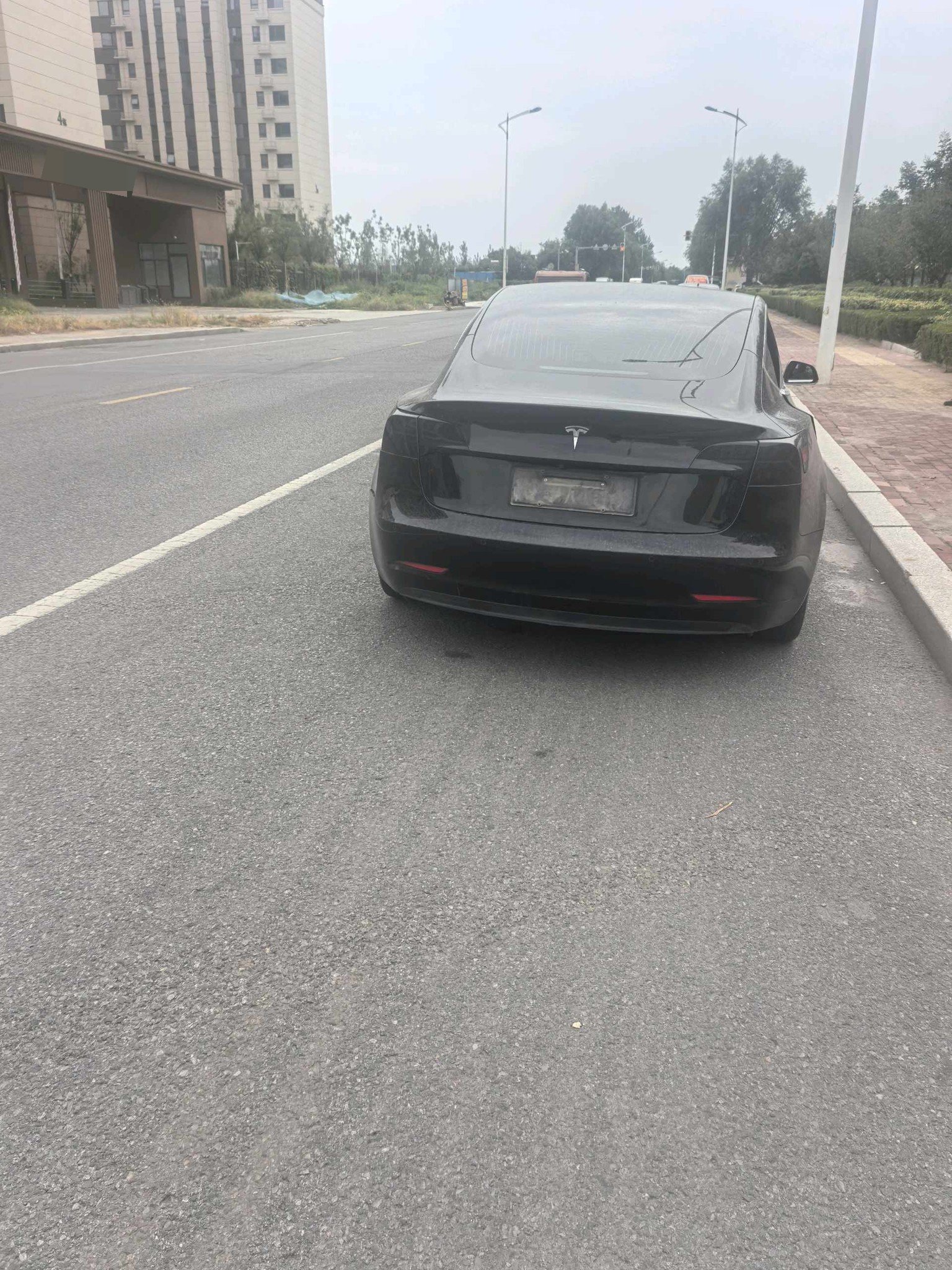 Tesla Model 3 2020 car image #6