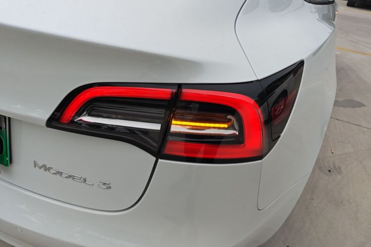 Tesla Model 3 2021 car image #8