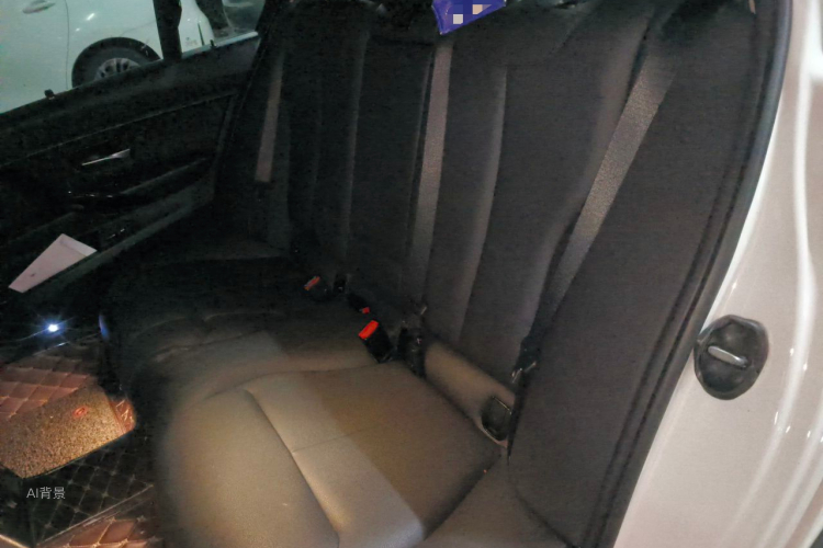 BMW 3 Series 2017 car image #19