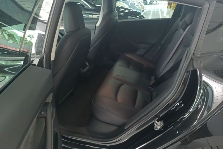 Tesla Model 3 2021 car image #17