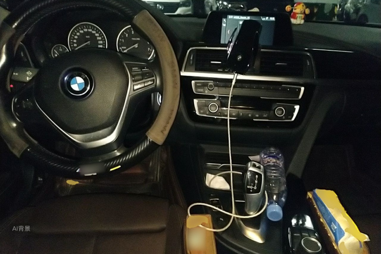 BMW 3 Series 2018 car image #11