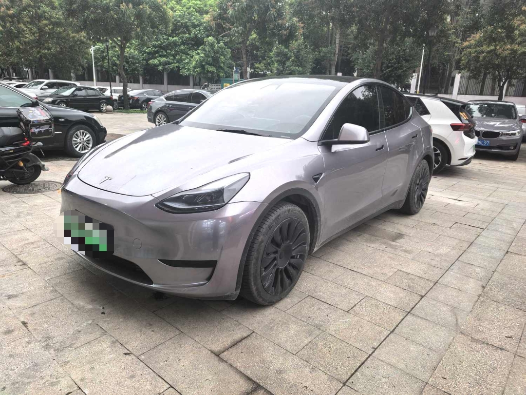 Tesla Model Y 2021 Tesla Model Y 2021 car image