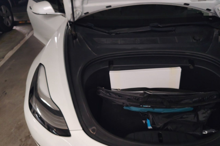 Tesla Model 3 2020 #28 Tesla Model 3 2020 car image #28