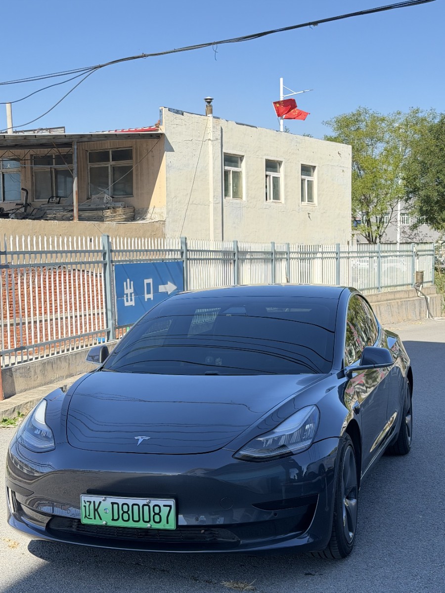 Tesla Model 3 2020 car image 