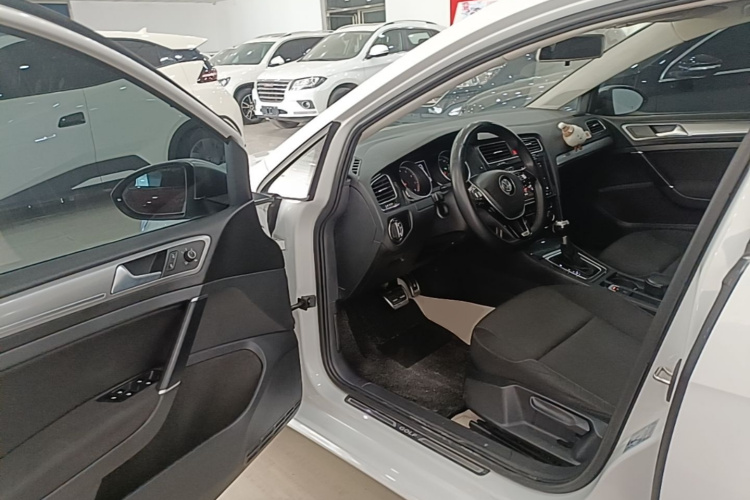 Volkswagen Golf 2019 car image #16