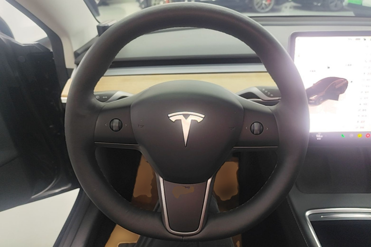 Tesla Model 3 2022 immagine di auto #11
