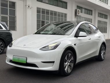 Tesla Model Y 2021 Tesla Model Y 2021 car image