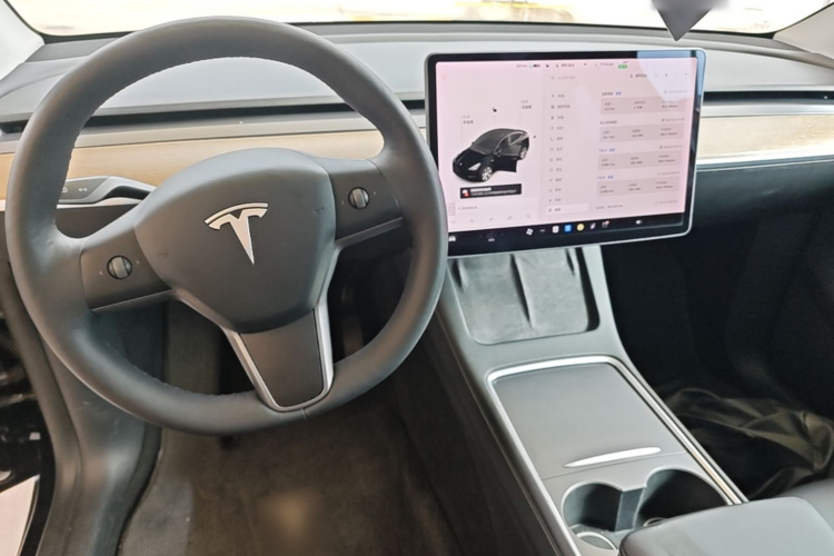 Tesla Model Y 2021 #10 Tesla Model Y 2021 car image #10