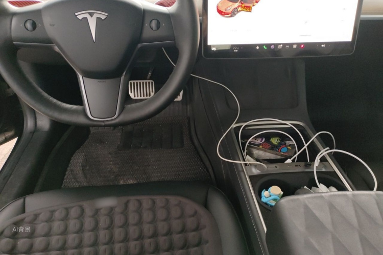 Tesla Model 3 2022 car image #12