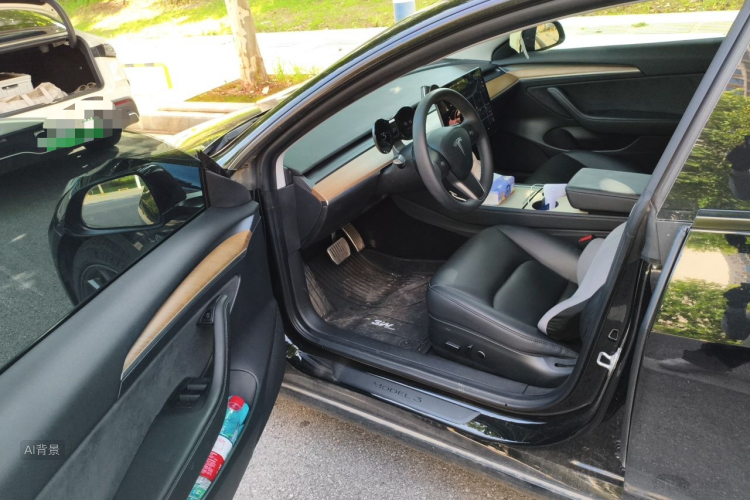 Tesla Model 3 2021 car image #18