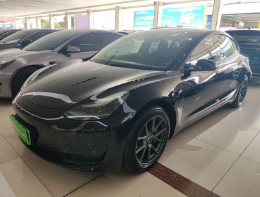 Tesla Model 3 2021 Tesla Model 3 2021 car image
