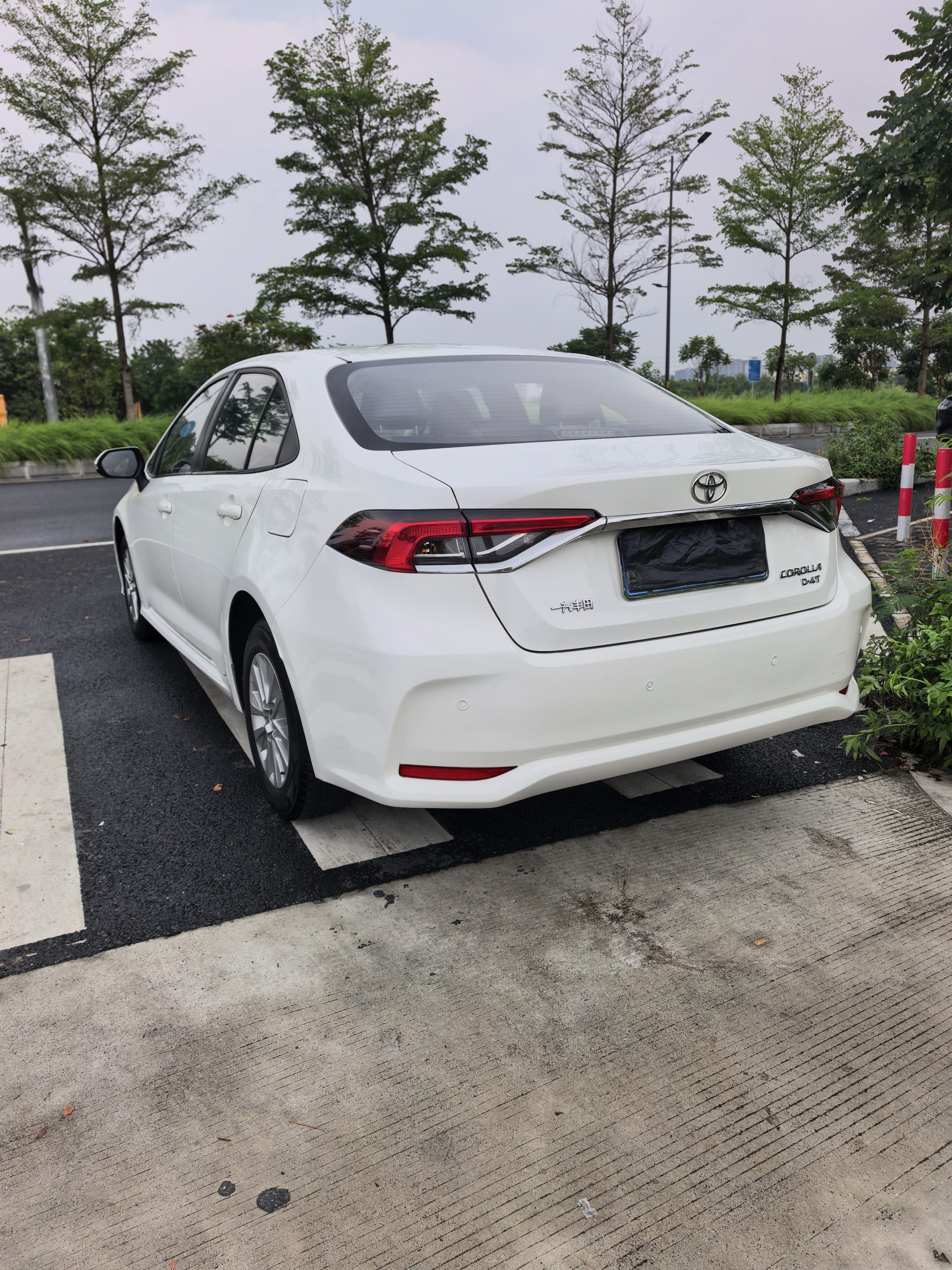 Toyota Corolla 2019 #8 Toyota Corolla 2019 car image #8