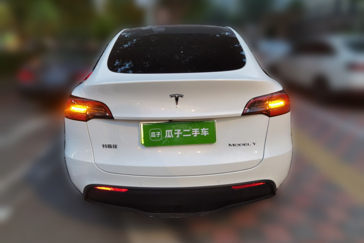 Tesla Model Y 2022 #6 Tesla Model Y 2022 car image #6