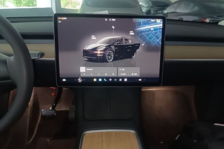 Tesla Model Y 2022 immagine di auto #13