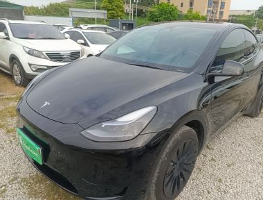 Tesla Model Y 2023 car image 