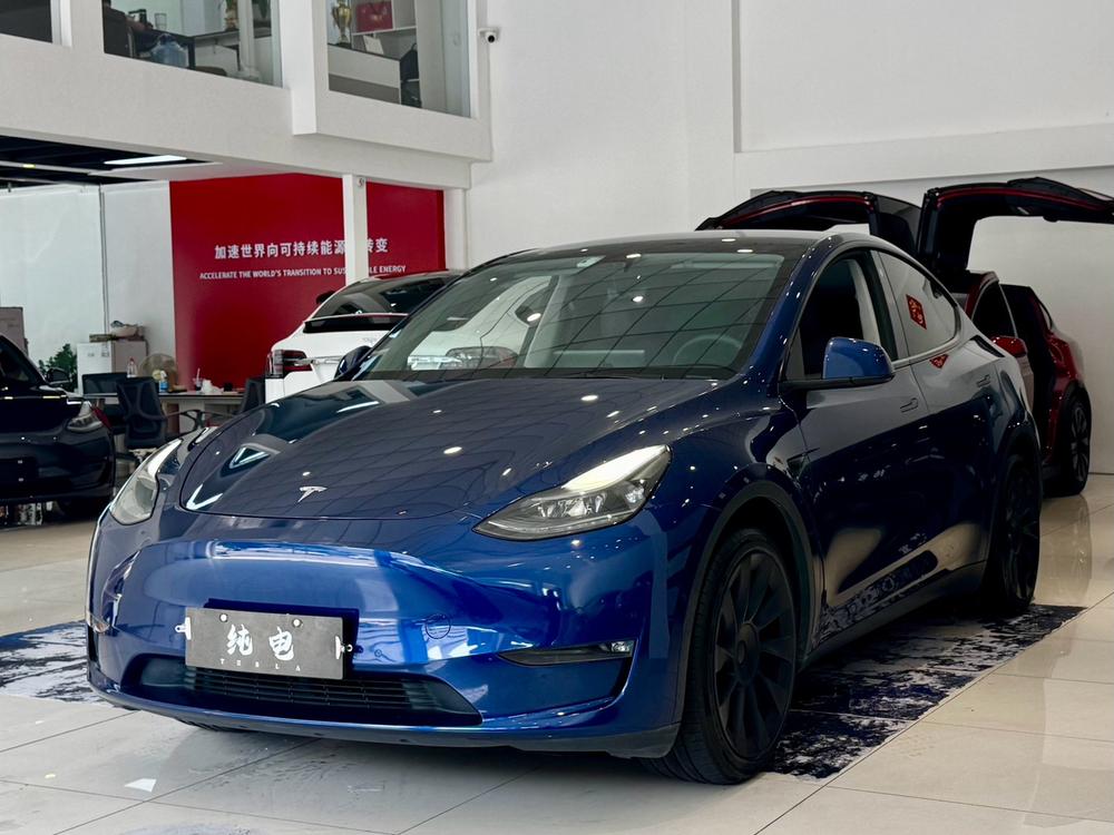 Tesla Model Y 2021 Tesla Model Y 2021 car image