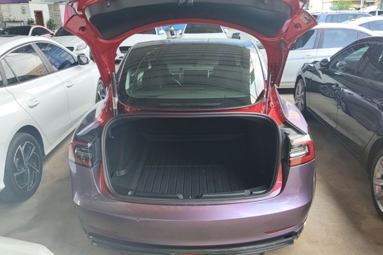 Tesla Model 3 2021 #19 Tesla Model 3 2021 car image #19