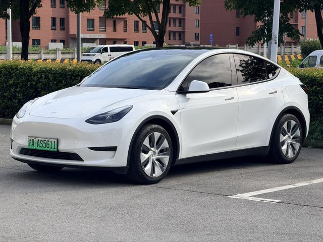 Tesla Model Y 2022 car image #11
