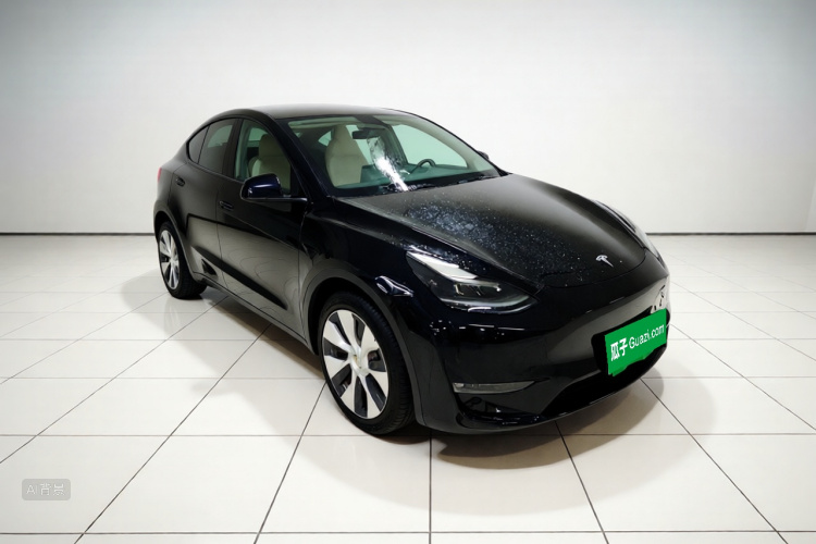 Tesla Model Y 2021 car image #4