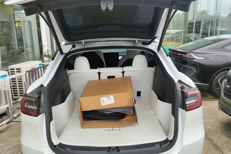 Tesla Model Y 2023 car image #19