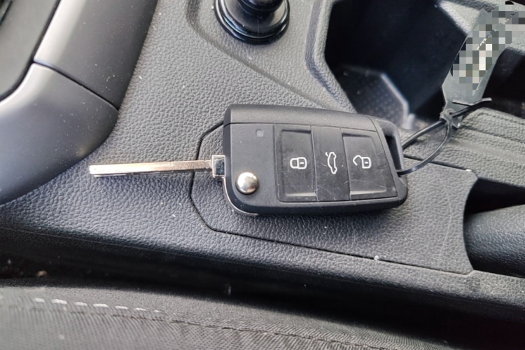 Volkswagen Polo 2019 car image #14