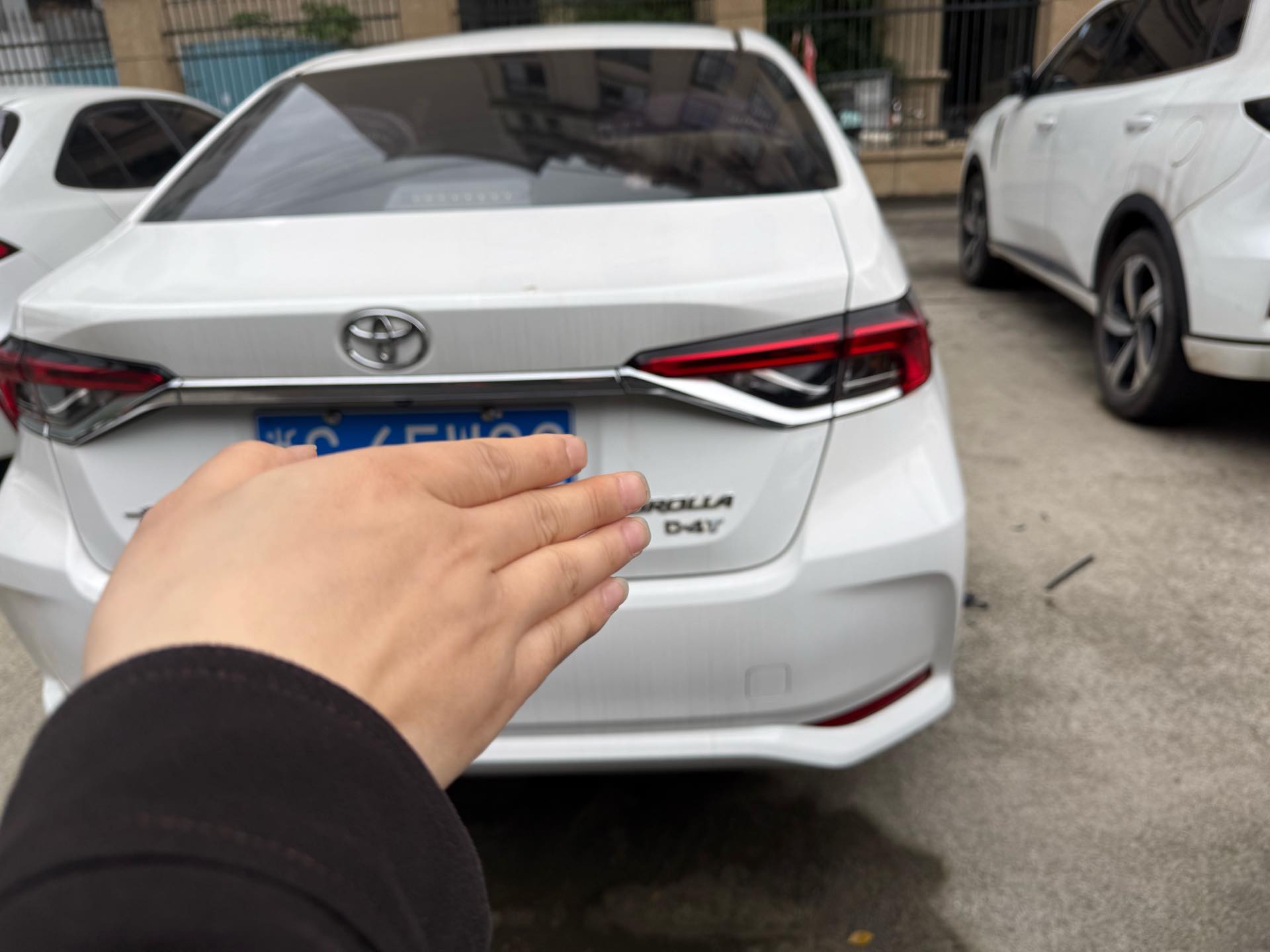 丰田 卡罗拉 2021 汽车图片 #7