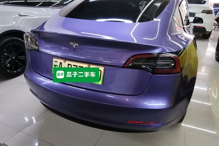 Tesla Model 3 2022 imagem de carro #6