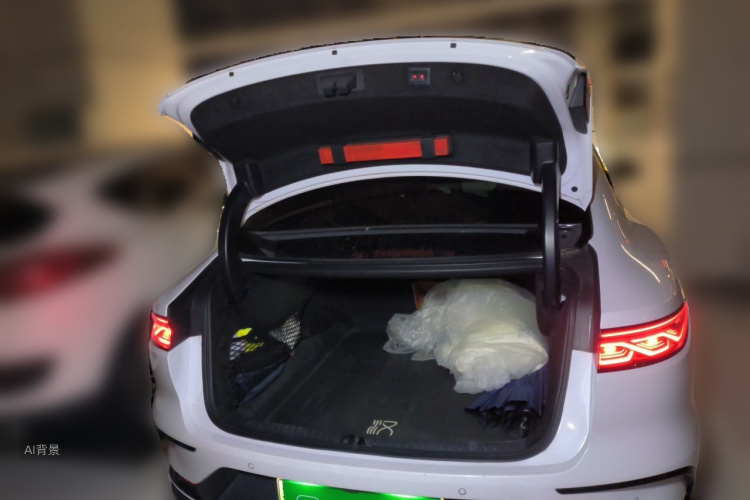 BYD Han 2022 car image #21