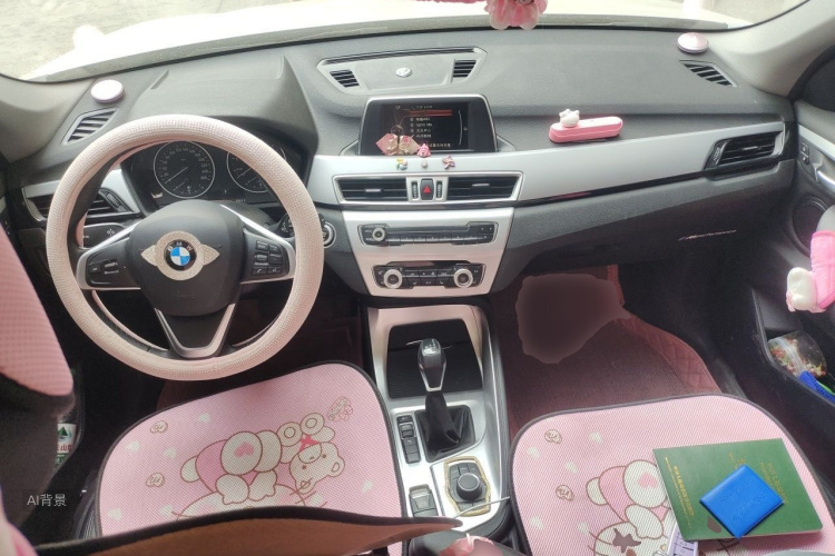 BMW X1 2017 #11 BMW X1 2017 car image #11