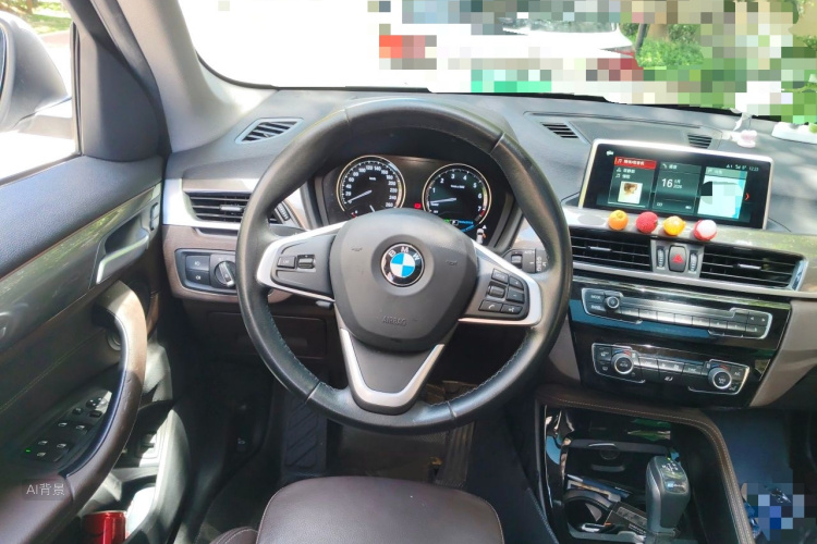 BMW X1 New Energy 2019 car image #12