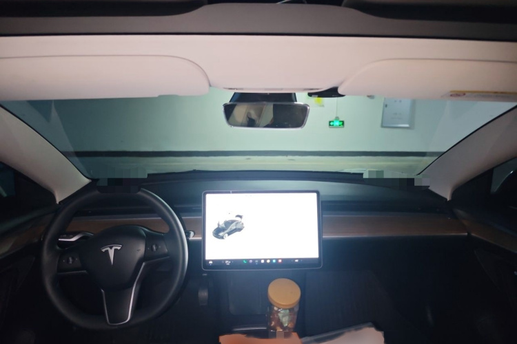 Tesla Model 3 2021 #12 Tesla Model 3 2021 car image #12