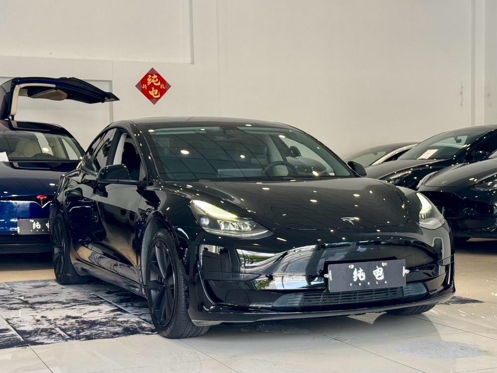 Tesla Model 3 2020 #3 Tesla Model 3 2020 car image #3