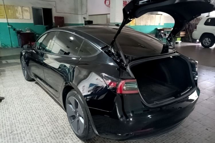 Tesla Model 3 2021 #7 Tesla Model 3 2021 car image #7