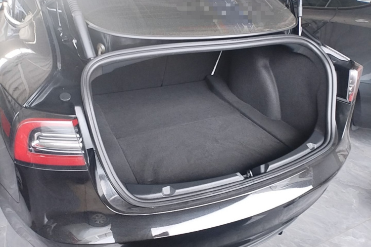 Tesla Model 3 2022 car image #19