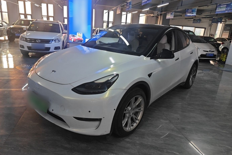 Tesla Model Y 2021 #2 Tesla Model Y 2021 car image #2