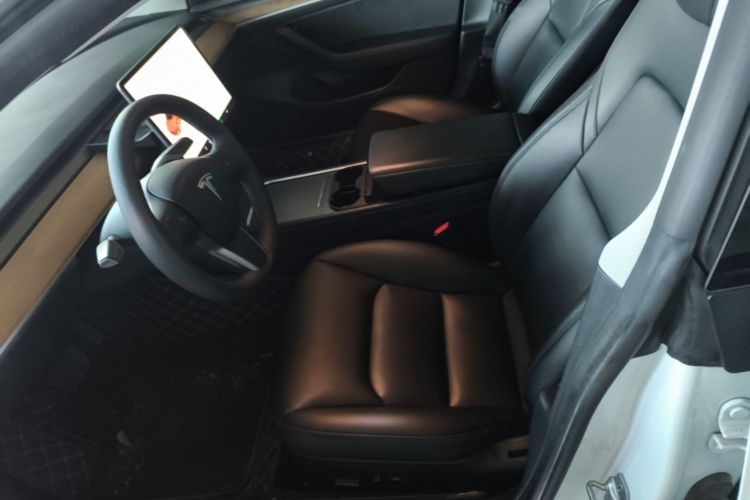 Tesla Model 3 2021 car image #15