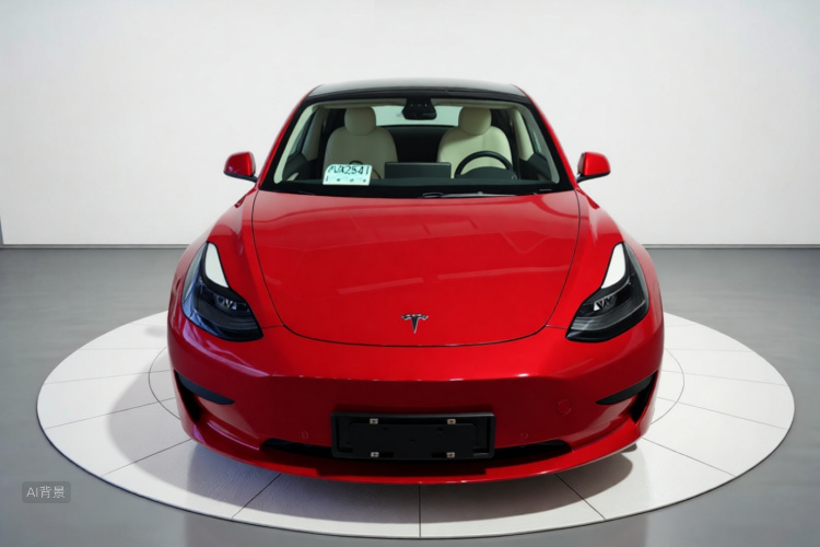 Tesla Model 3 2021 #3 Tesla Model 3 2021 car image #3