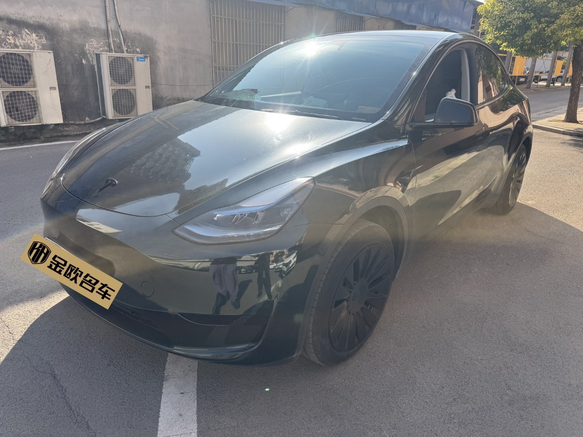 Tesla Model Y 2024 Tesla Model Y 2024 immagine di auto