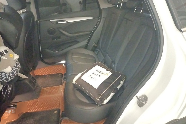 BMW X1 2019 #19 BMW X1 2019 car image #19