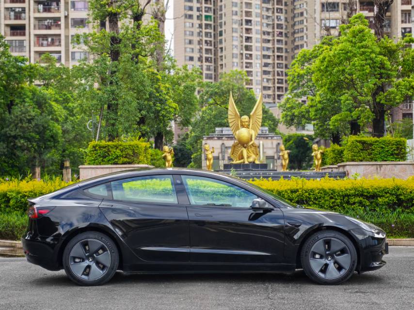 Tesla Model 3 2022 #16 Tesla Model 3 2022 car image #16
