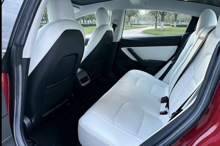 Tesla Model 3 2020 #12 Tesla Model 3 2020 car image #12