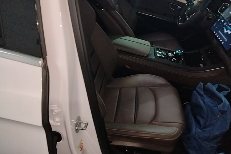 BYD Han 2021 car image #24