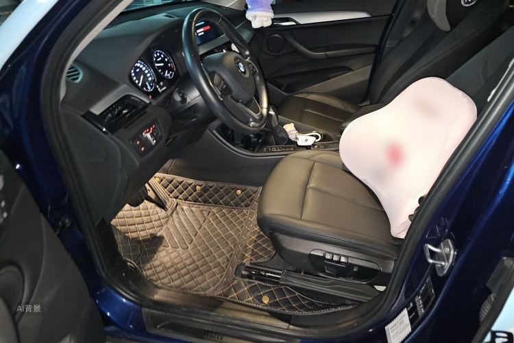 BMW X1 2019 car image #18