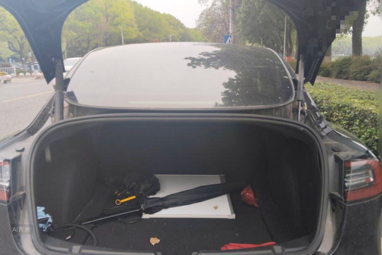 Tesla Model 3 2021 #21 Tesla Model 3 2021 car image #21
